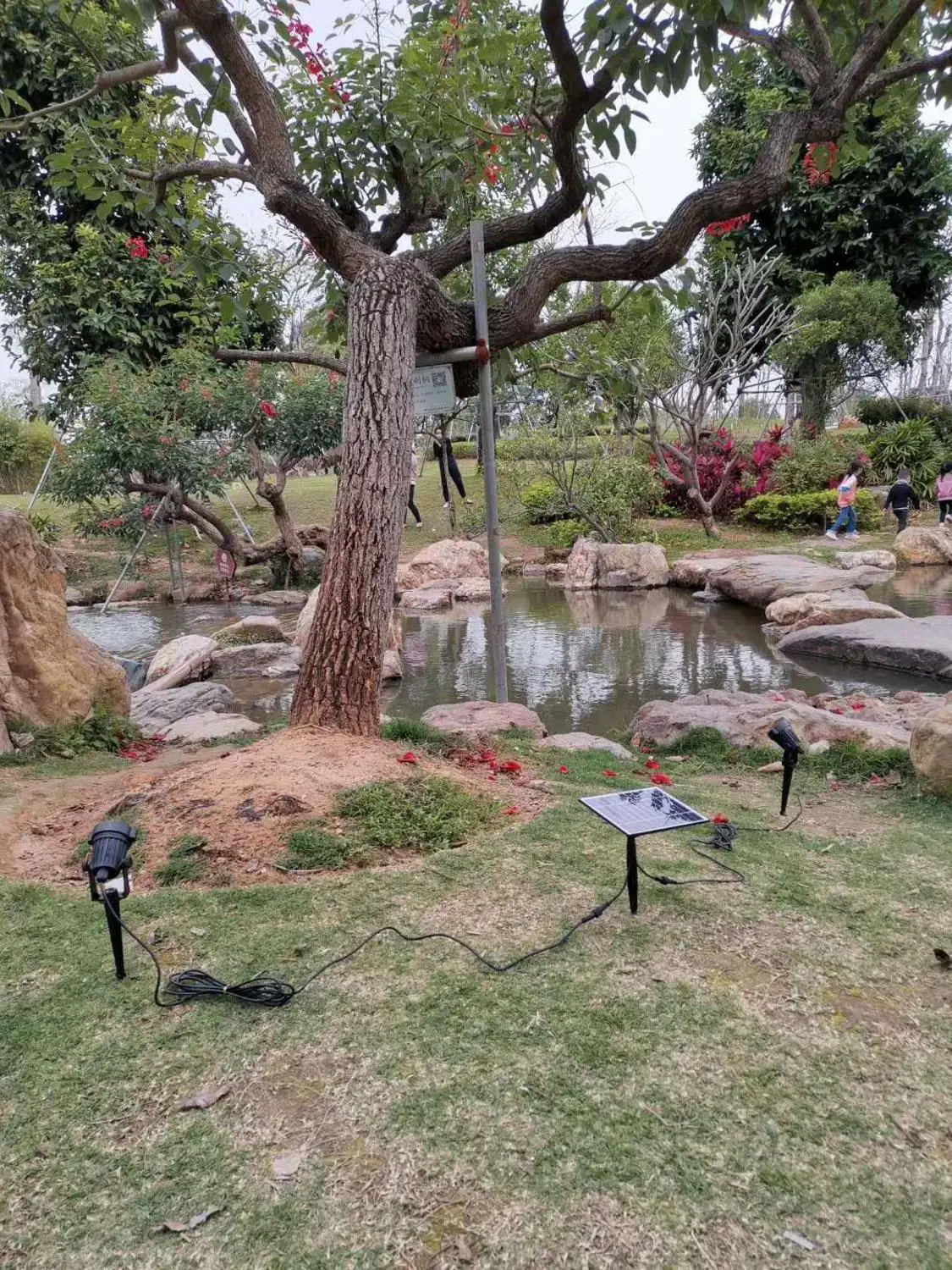 Светодиодный ландшафтный светильник на солнечной батарее водонепроницаемый