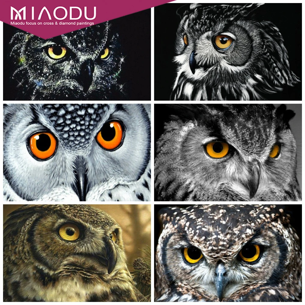 

Dbqp 5D DIY Diamond Painting Set Owl Diamond Embroidery Sale Animal Pictures Of Rhinestones Full Mosaic Craft Kit