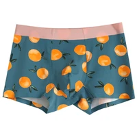 fresh fruit print mens underwear refreshing and comfortable underpants top quality mans widened elastic waistband boxer shorts
