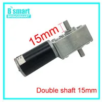 Bringsmart 5840-31zy двойной вал двигателя 24 В DC червячный мотор-редуктор 4 в DC редуктор двигатели с высоким крутящим моментом обратный самозамок для робота