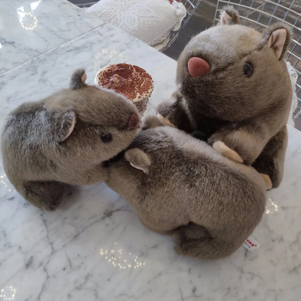 Kawaii моделирование мышь морская свинка кавия Porcellus милые мягкие для детей