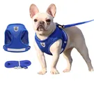 Шлейка с поводком для собак, летняя Регулируемая Светоотражающая жилетка для прогулок с щенками, сетчатая шлейка для маленьких и средних собак и кошек