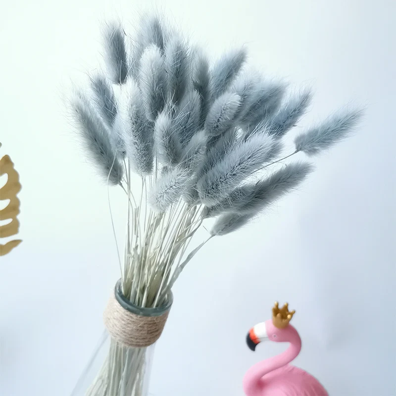 

Dried Natural Bunny Tail Grass Feather Grass Dry Flower Party Wedding Flower Preserved Flowers Plant Home Office Decoration