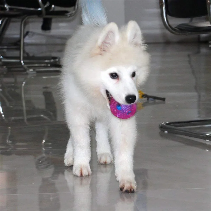 Автоматический питательный мяч нетоксичный пластик TPR резиновая игрушка для