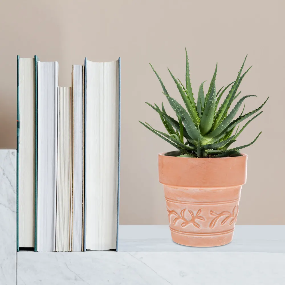 

2pcs Outdoor Plant Pots Terracotta Flowerpot Desk Ornament for Home Office