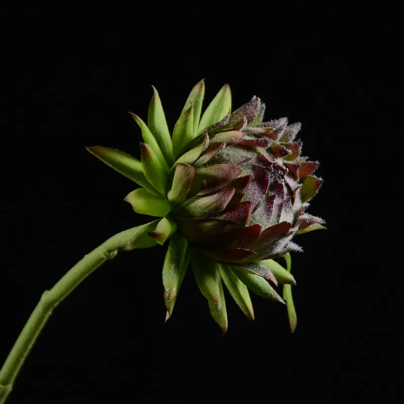 

MBF Artichoke Artificial Flowers Wholesale Indoor Decoration Brownish Green Fake Flower DIY Arrangement Materials