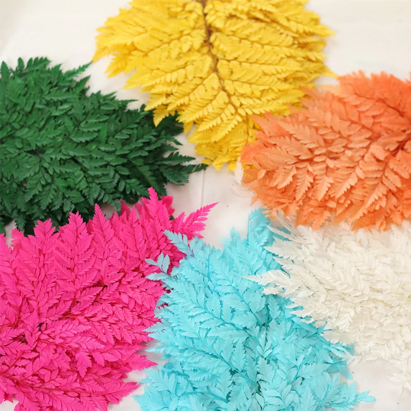 3 шт./лот разноцветные консервированные цветы из козьего зуба Декор для дома