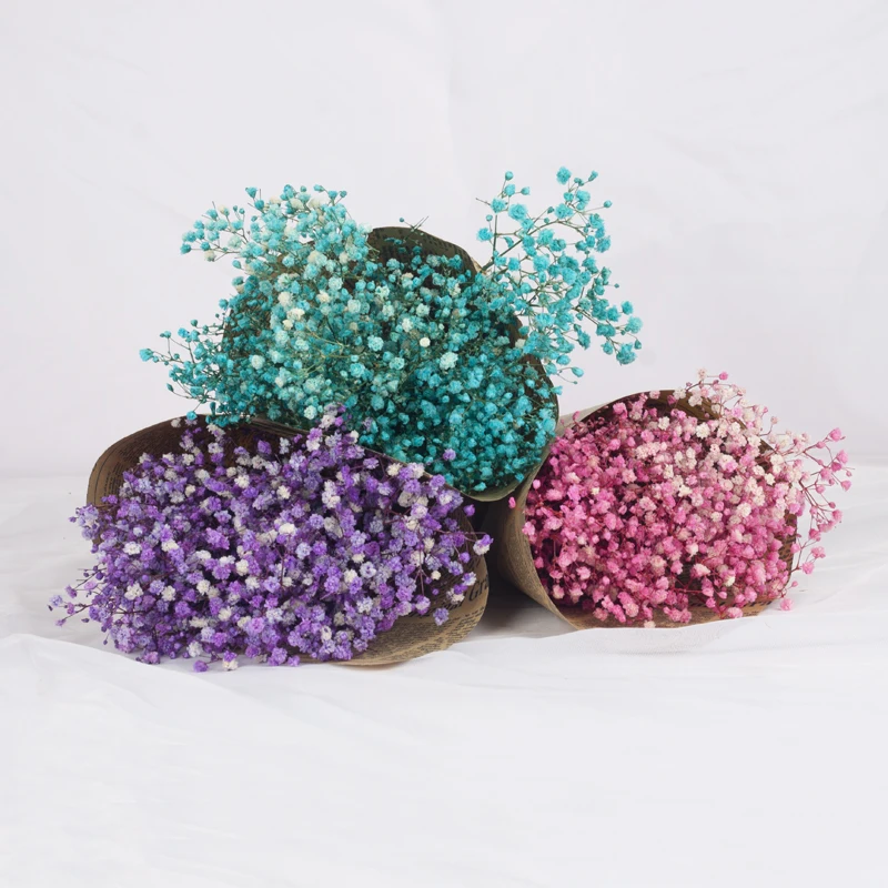 

Natural Dried Preserved Flowers Gypsophila Paniculata Baby's Breath Bouquets Gift Wedding Decoration Home Decor Fleurs Sechees