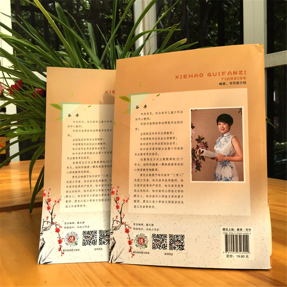 

Write Well In The Second Grade Of The Standard Characters Tian Zige