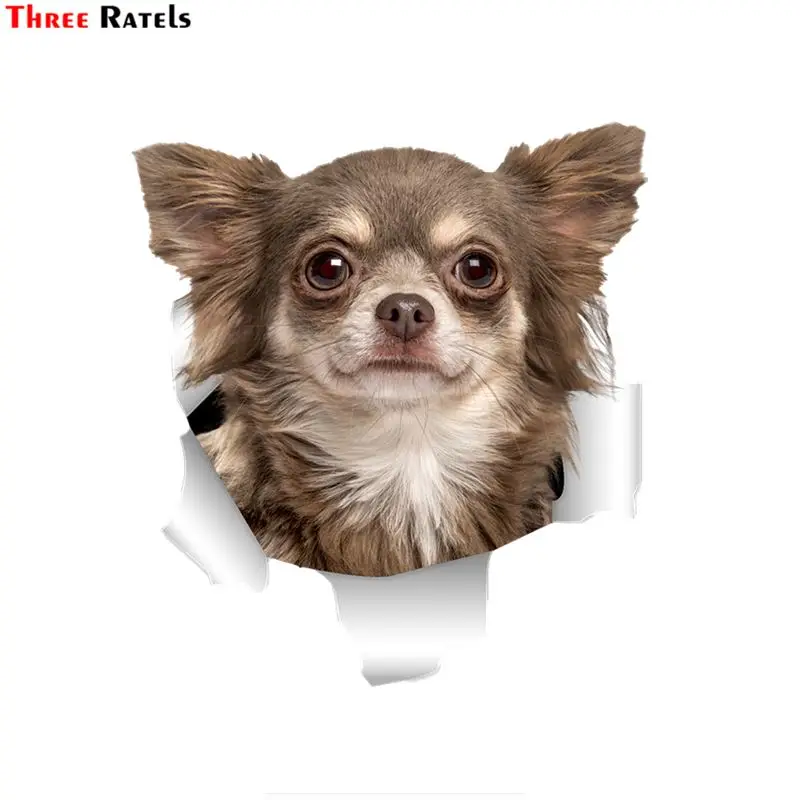 

Three Ratels QD38 cute 3D torn metal design Chihuahuas dog car stickers fun