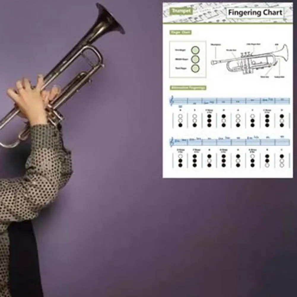 

Trumpet Fingering Chart Clear Illustration Waterproof Refreshing Color Trumpet Music Chord Poster for Beginner