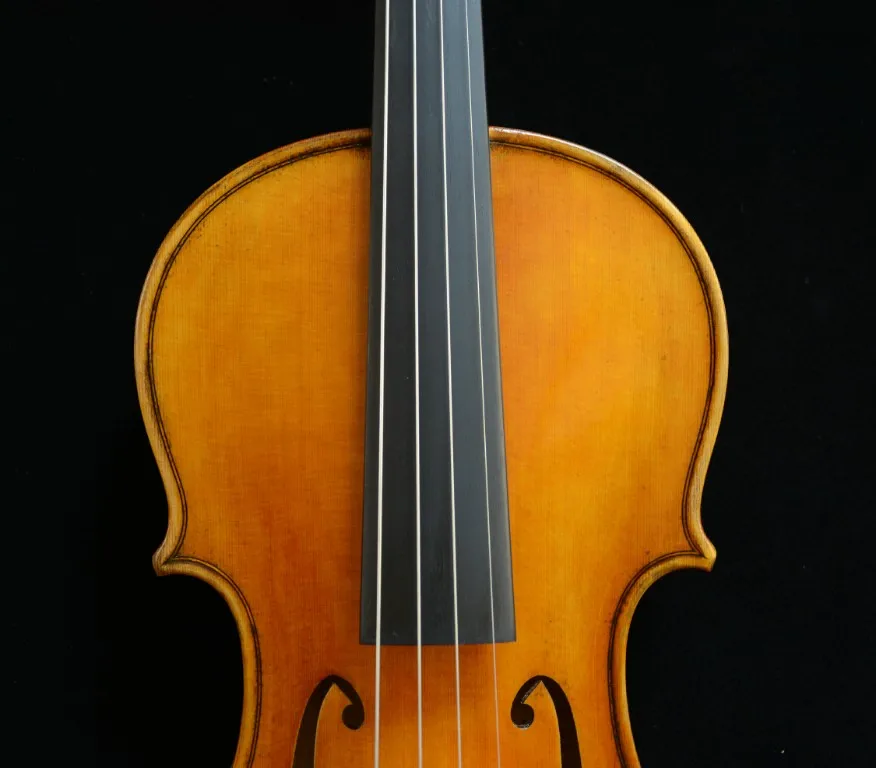 Фактическая скрипка выдающаяся скрипка Guarneri 1743 Cannone скрипка фантастический звук