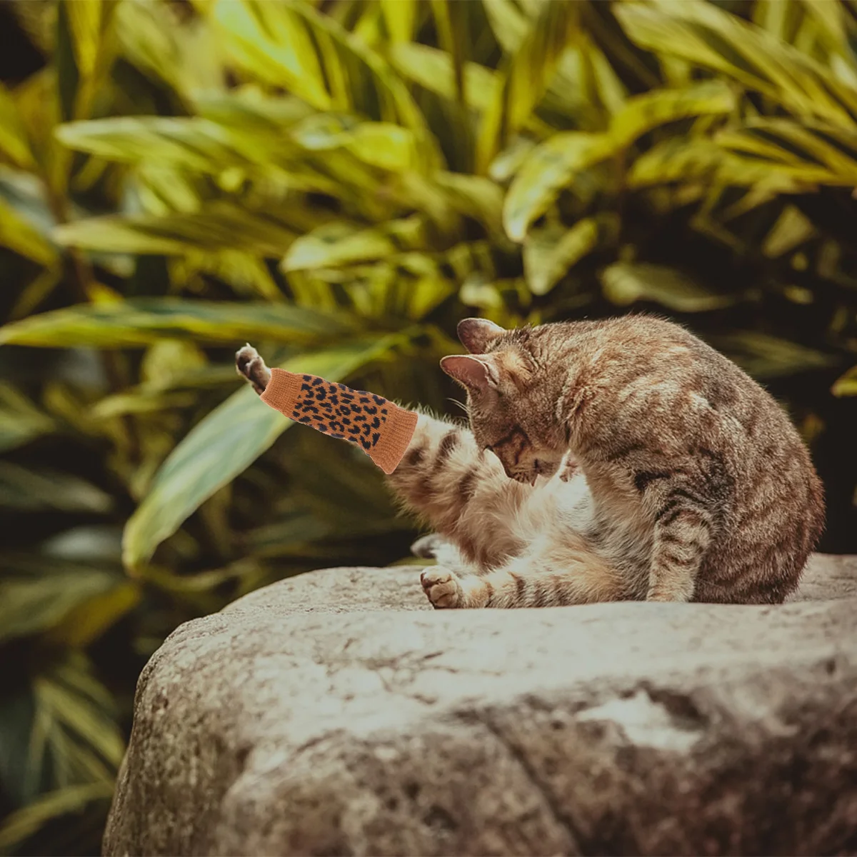 

Носки для домашних животных 4 шт., зимние чулки для костюма собаки, защита от грязи ног для домашних собак (размер леопарда)