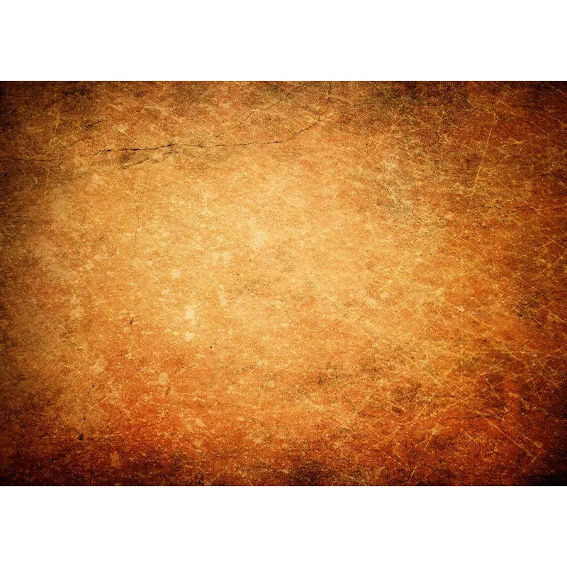 

Vinyl Custom Vintage theme Photography Backdrops Props Abstract Portrait theme for Photo Studio Background XT20915FGD-129