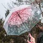 Романтический прозрачный Цветочный зонтик с пузырьковым куполом, полуавтоматический, для ветра, сильного дождя