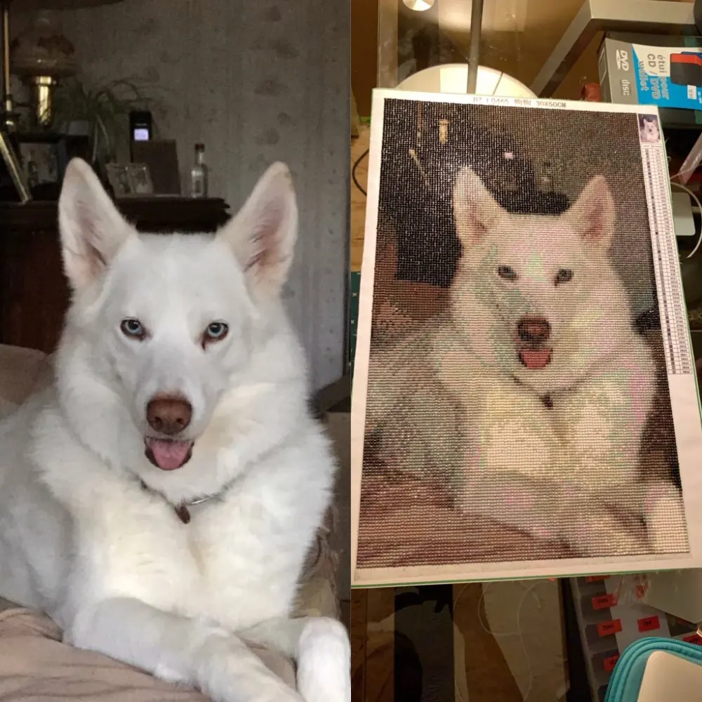 Cross Stitch Diamond Embroidery Animal &quotAbstract Cat&quot Patterns Full DIY 5D Painting Rhinestones Mosaic Decoration Gift | Дом и сад