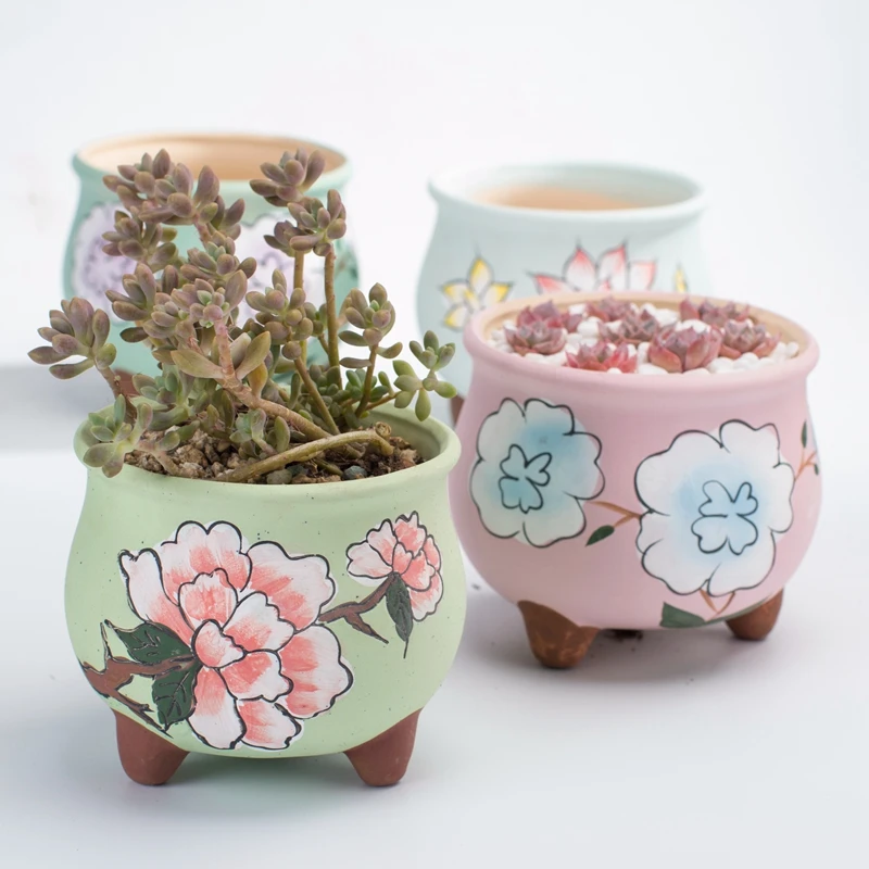 Корейский ручная роспись средний и большой калибр маленькое мясо растение