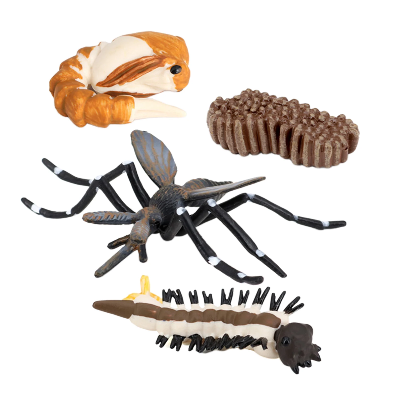 

Kids Insect Growth Model Playset Learning Biology Toys Themed Party