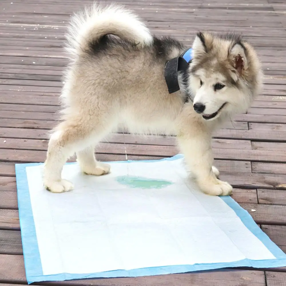 

Non-Woven Convenient Antibacterial Absorbent Puppy Pee Mats Dog Urine Pad Pet Training Pads Cat Diaper Potty Deodorant Indoor