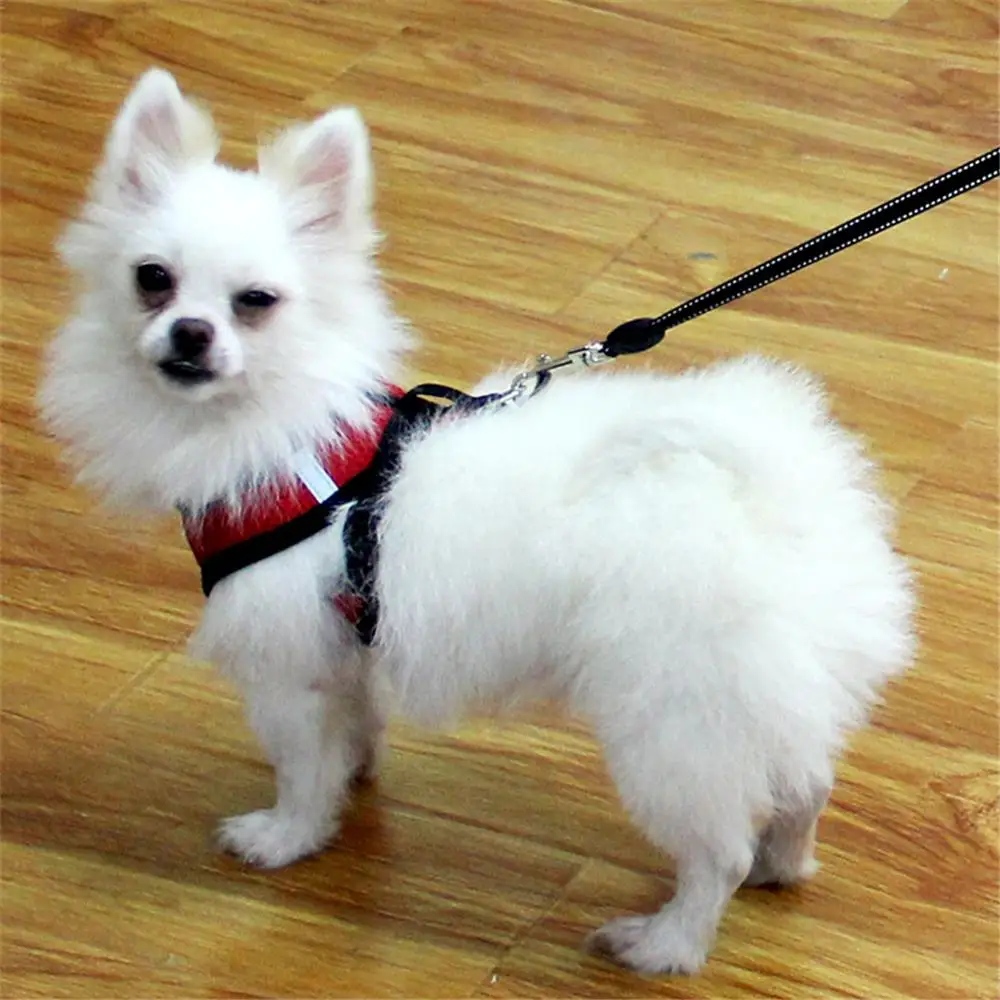 Обувь с дышащей сеткой шлейка для домашних животных и поводок собак маленькая