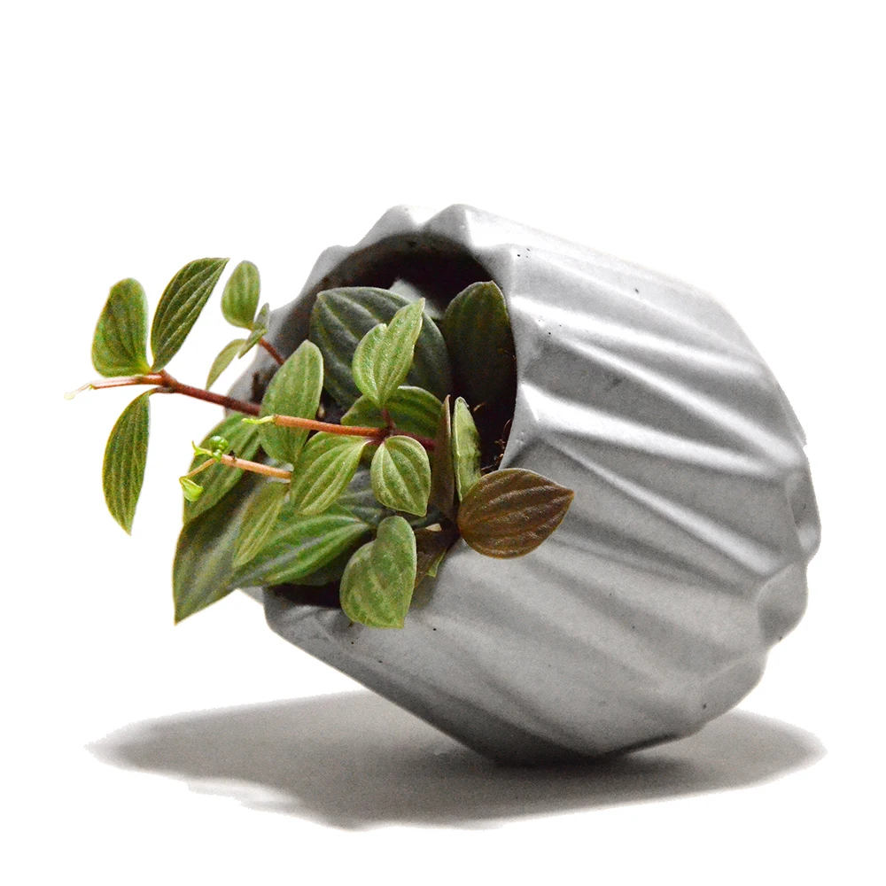 Бетонный цветочный горшок форма для карликового дерева формы домашний садовый