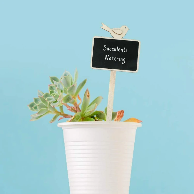 

20Pcs Plant Name Labels Herb Garden Home Flower Pot Undefined Blackboard Wooden Chalkboard Labels Garden Supplies