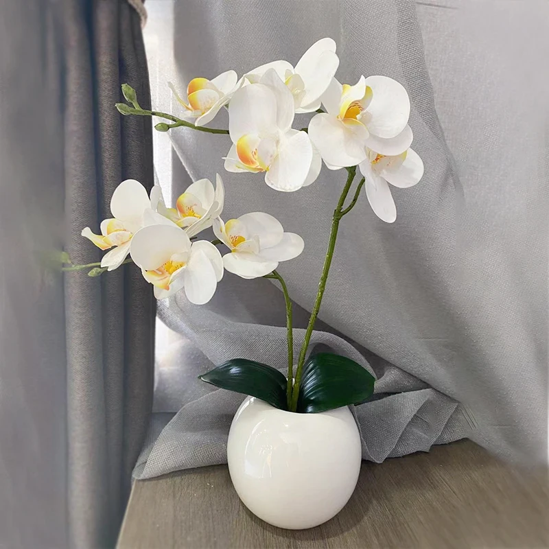 

Real Touch Butterfly Orchid Artificial Flowers Potted White With leaves Phalaenopsis Flower branch&Ceramic Vase Set Decoration