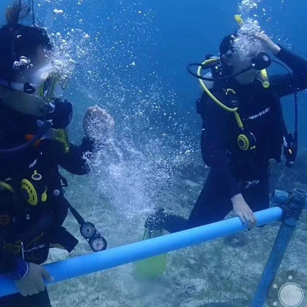 

3mm Neoprene Full Body Men Wetsuits Long Sleeve Back Zip for Diving Dive Scuba Swimming Water Sports Sportswear