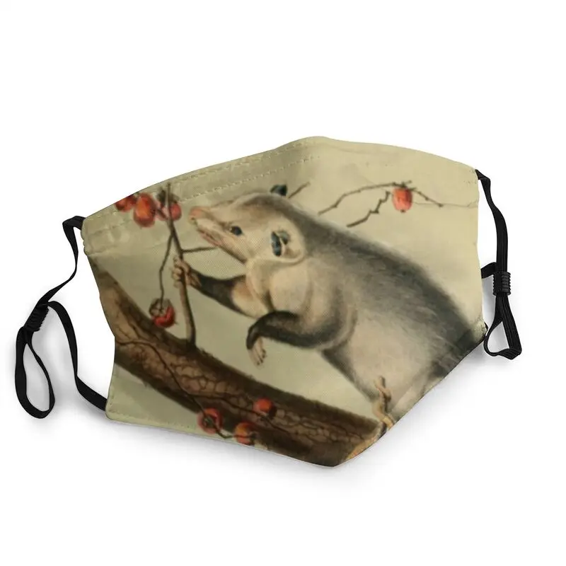 

Naturalist Opossum Non-Disposable Men Mouth Face Mask Possum Animal Dustproof Protection Cover Respirator Mouth-Muffle