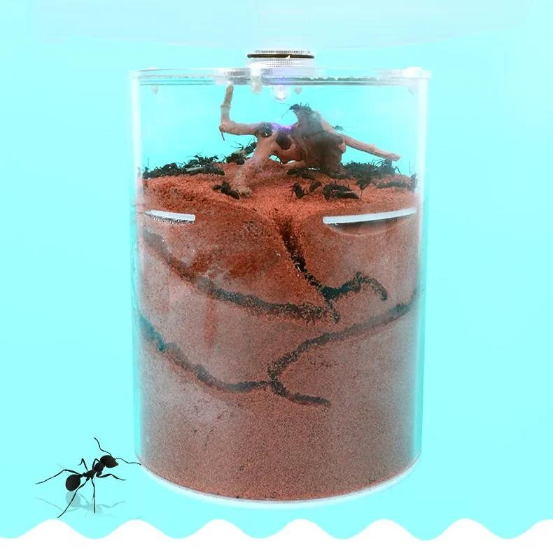 

Муравьиная трубка для разведения отверстий, песок для строительства, городское гнездо, мастерская мира, муравьиная деревня, изучение науки,...