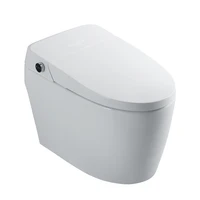 multifunctional smart toilet wireless remote control instant hot flushing without water tank foot feeling flushing household
