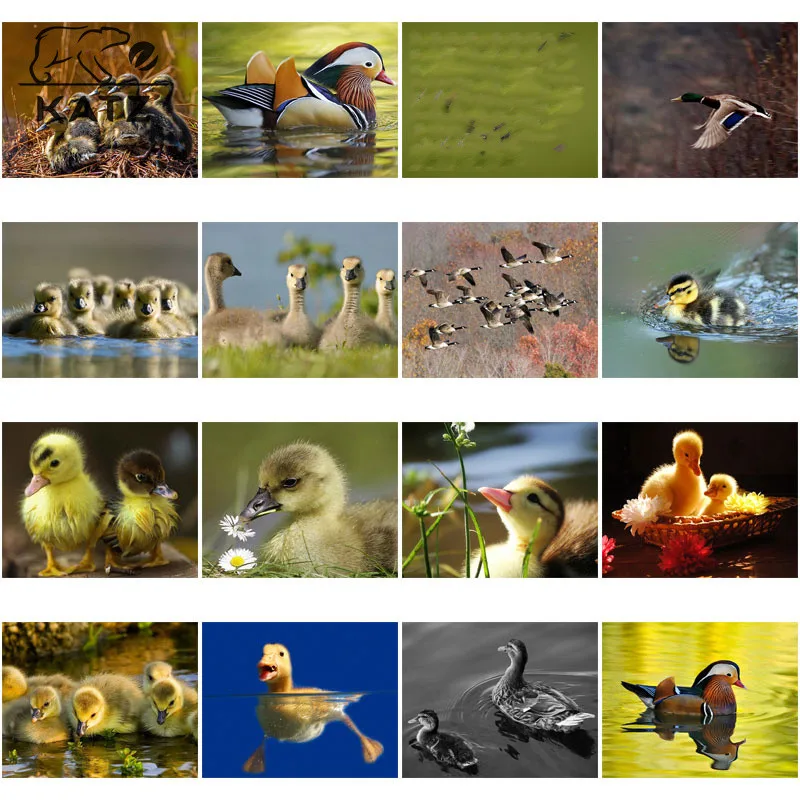 

Little Yellow Duck Diamond Painting Handmade 5D Diy Animal Picture Diamond Embroidery Diamond Painting Home Decor Modern