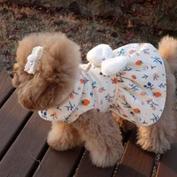 2022 cute dog dress winter cat puppy apparel small dog costumes yorkshire terrier shih tzu maltese pomeranian poodle dog clothes