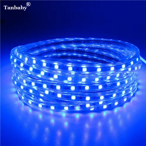 Blue Color 220V Светодиодные ленты светильник SMD 5050 Открытый Водонепроницаемый светодиодный ленты 60 Светодиодный s/M высокая яркость Крытый украшения новогодние гирлянды со штепсельной вилкой европейского стандарта - Испускаемый цвет: Blue Color
