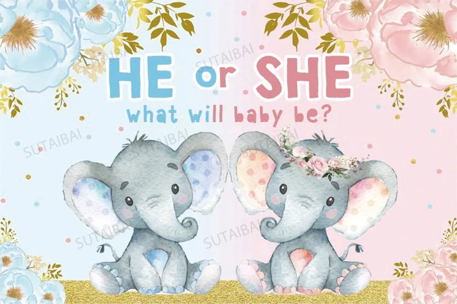 Baby Shower Photography Background Balloon Gender Reveal Party Boy or Girl Poster Backdrop Photozone Photo Studio Decor Props