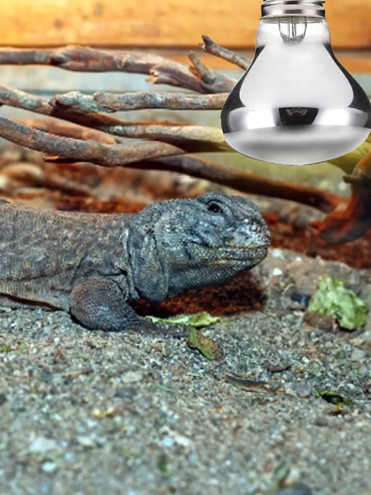 Лампа E27 50 Вт 100 обогрев рептилии животных черепашек змей Бродер улучшение