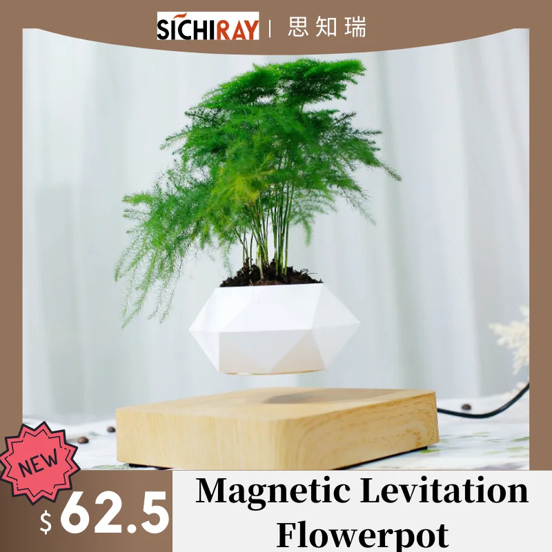 

Magnetic Levitation Flowerpot Floating Rotation Stand Magnetic Suspension Personalized Gift Home Desk Decoration