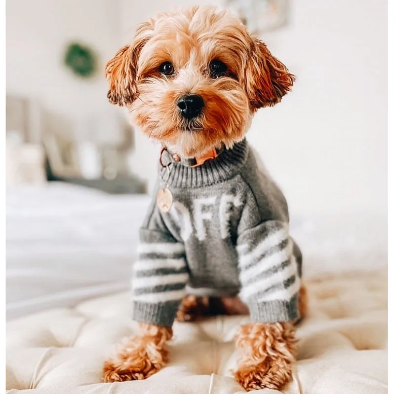 

DUOMASUMI Flexible Fashion Small Dog Clothes for Cat Koki Poodle Pomeranian Schnauzer Teddy Pet Clothes Dog Sweaters