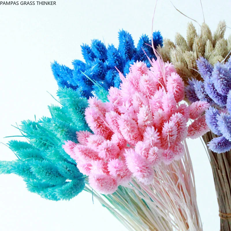 

30pcs Dried Gem Grass Phalaris Flower Bouquets Weeding Home Decoration Eternal Flower Photography Props