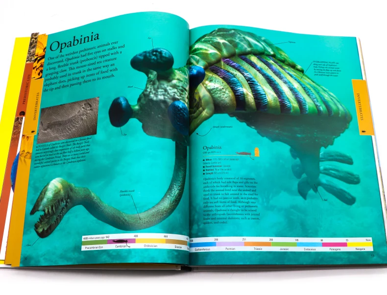 

DK Dinosaurs A Childrens Encyclopedia Original Children Popular Science Books