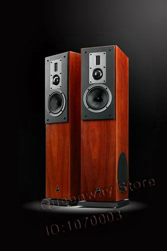 HIVI Swans RM1000HT 5 0 Домашний кинотеатр стерео звуковая система фронтальная RM1000 центр