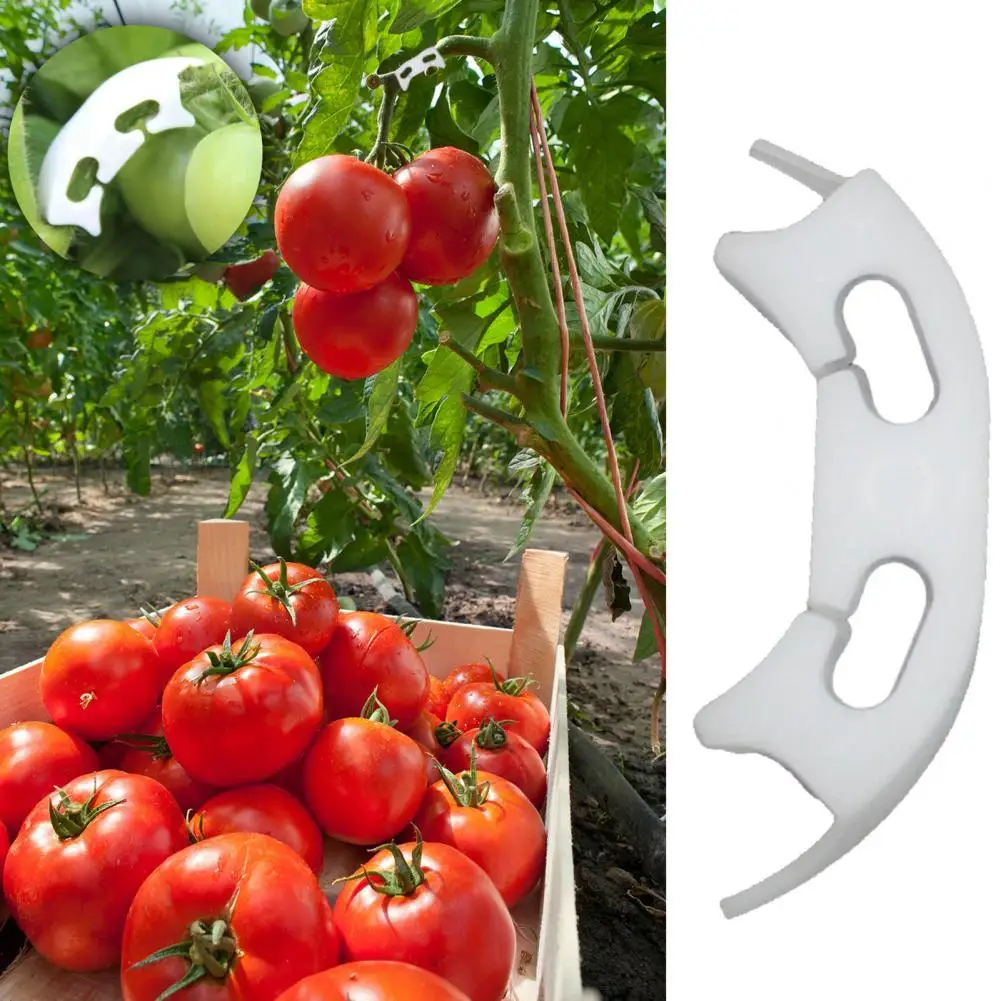 

50/100Pcs Plant Tomato Vine Growth Anti-bending Fixing Clip Clamp Garden Supply