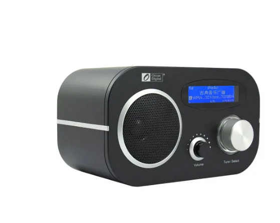 WiFi + FM UPnP радио океан цифровой WR 80 многоязычное меню Интернет Облачное LCD двойная