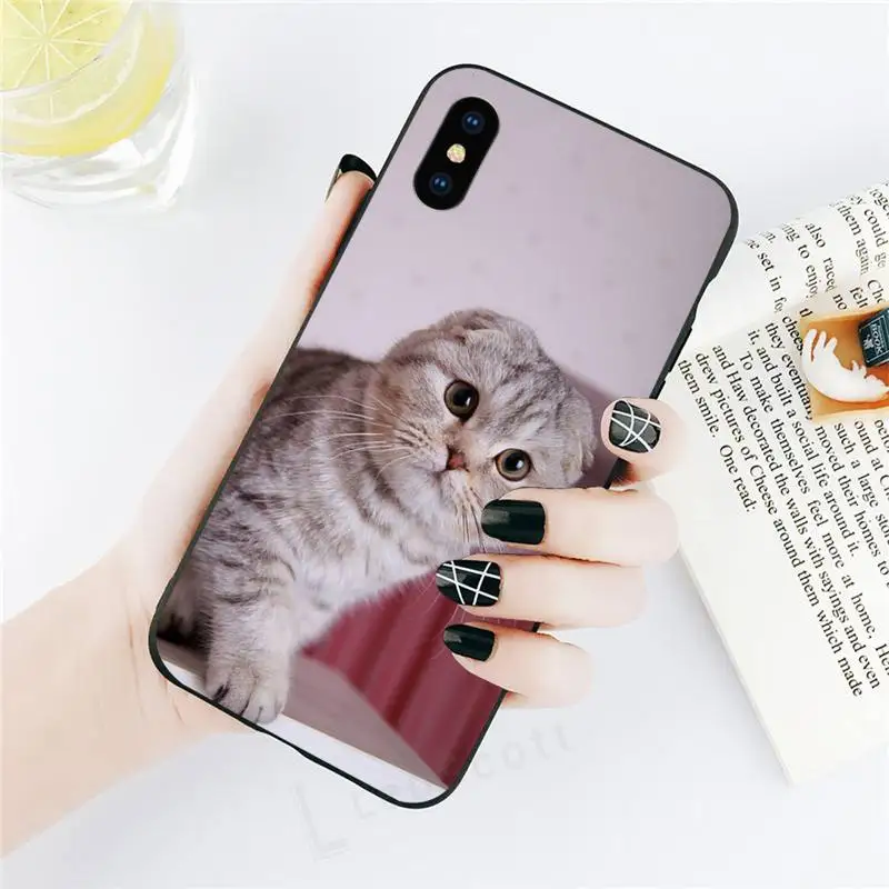 

cute cat Phone Case for iPhone 11 12 mini pro XS MAX 8 7 6 6S Plus X 5S SE 2020 XR
