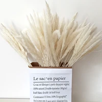 bulrush natural dried small pampas grass phragmites artificial plants wedding reed dry flower bunch for home decor fake flowers