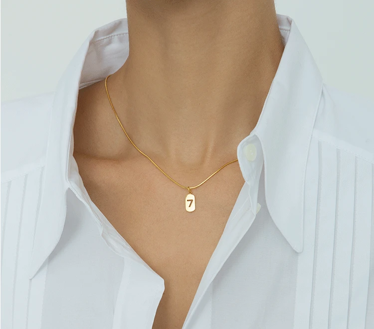 

Timeless Wonder Titanium Geo No. 7 Tag Snake Chain Choker Necklace Women Stainless Steel Jewelry Designer Gothic Trendy Top 5248