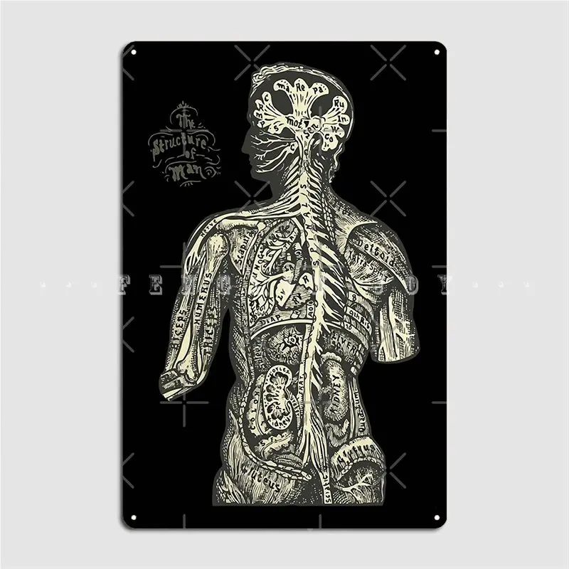 

Структура мужской металлический знак клуб паб гараж проектирование жестяные пластинки Sign постер