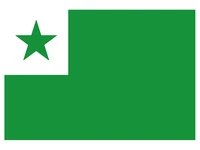 vertical 90x150cm esperanto flag for decoration