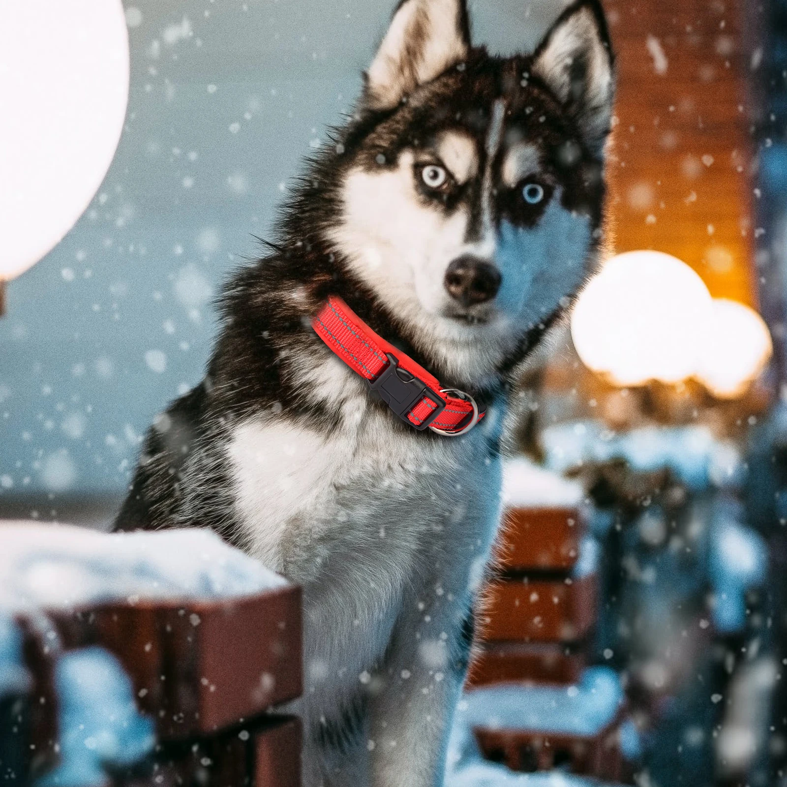 Ошейник для собак MASBRILL регулируемый поводок среднего и большого размера
