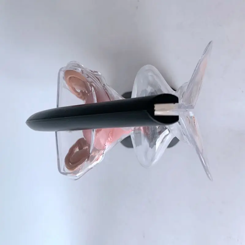 Модель женской репродуктивной системы прозрачная модель матки Женская